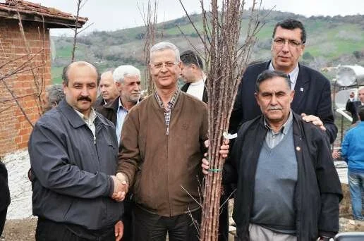 Ödemiş CHP, Köseler’de Meyve Fidanı Dağıttı